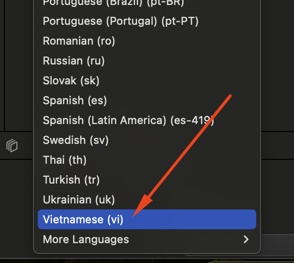 Choose your language